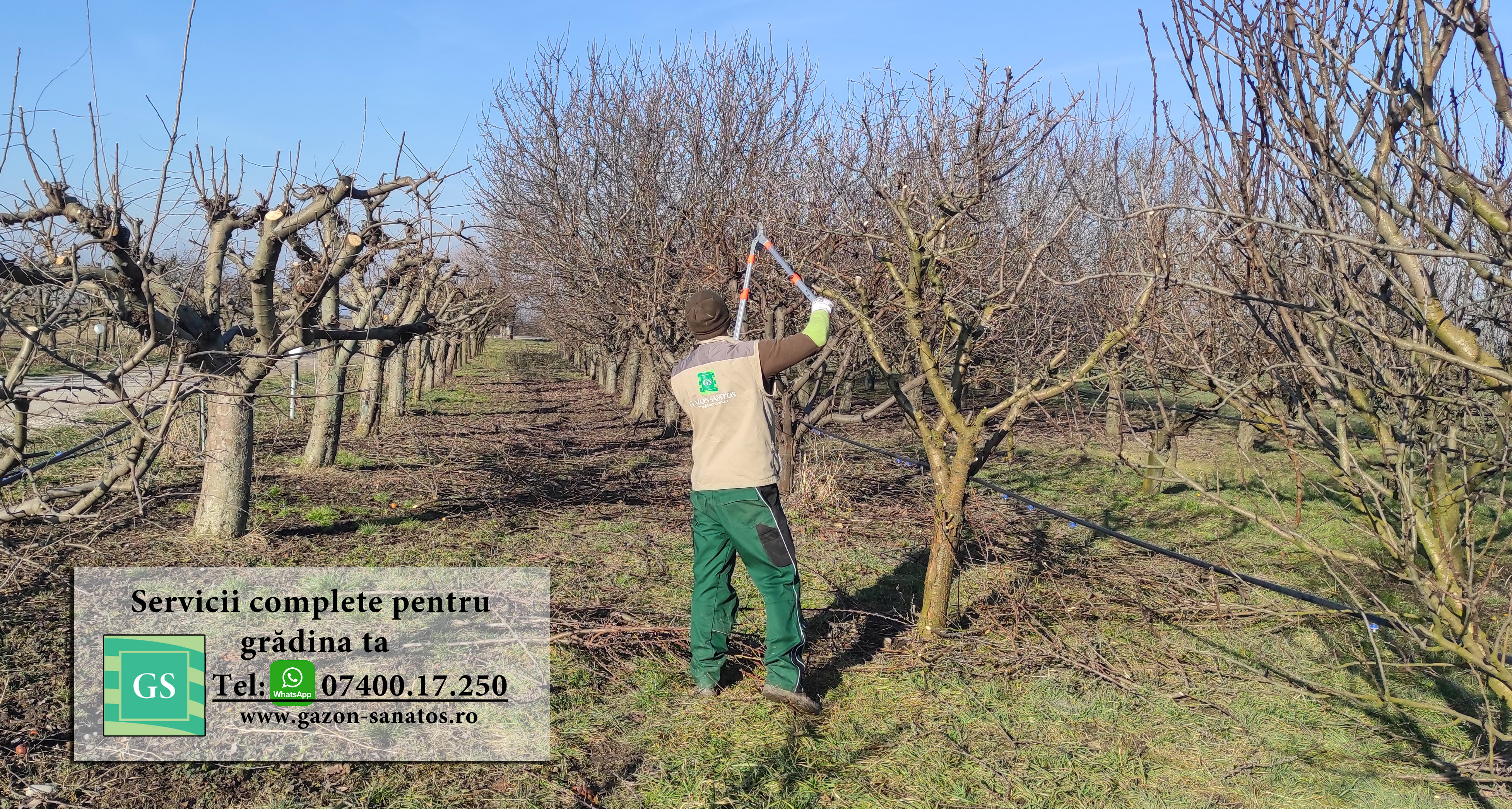 Toaletari Pomi Fructiferi Arad