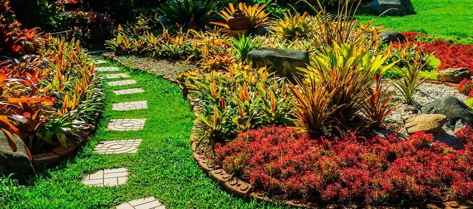 Intretinere Gazon Arad