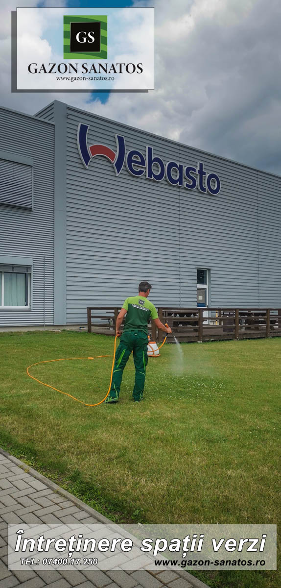 Gradinar Arad Spatii Verzi 