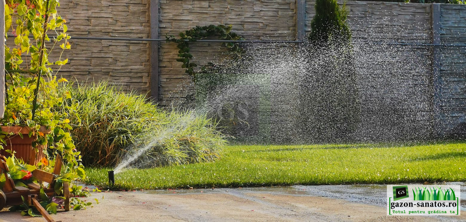 Irigatii Rezidentiale Arad