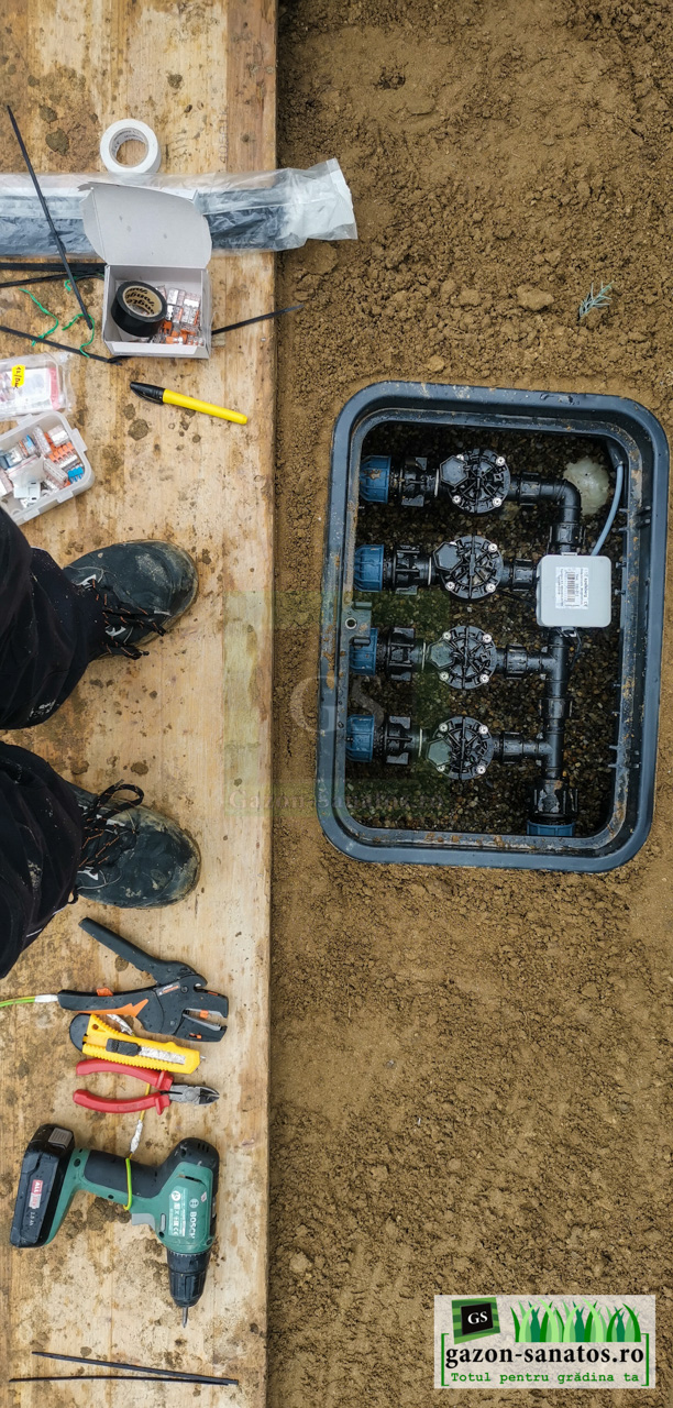 Irigatii RainBird Arad 