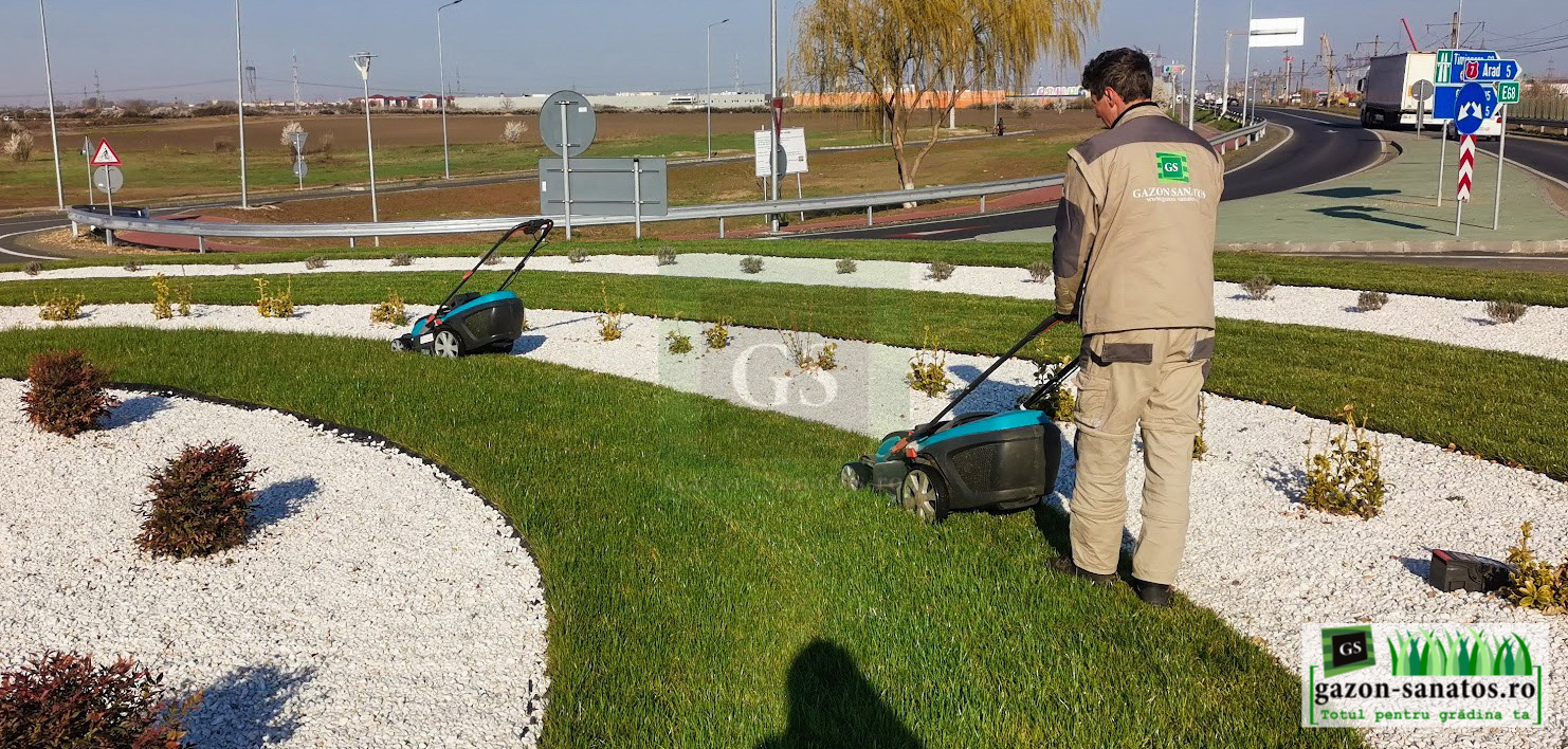 Amenajari Spatii verzi Arad