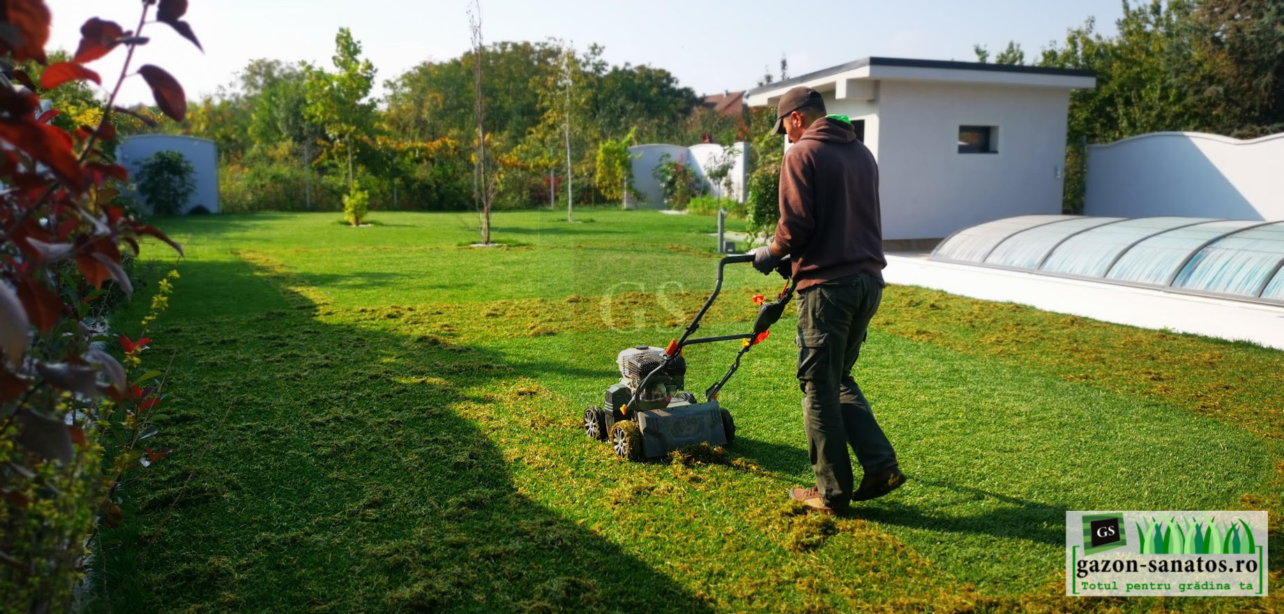 Scarificare Gazon Arad