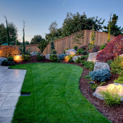 Intretinere Gazon Arad