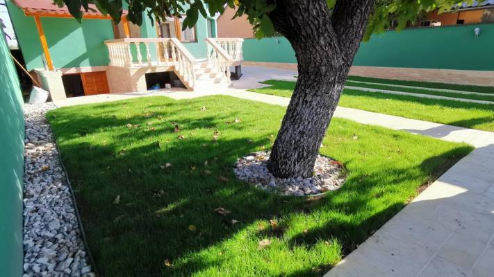 Gazon prin Însămânțare