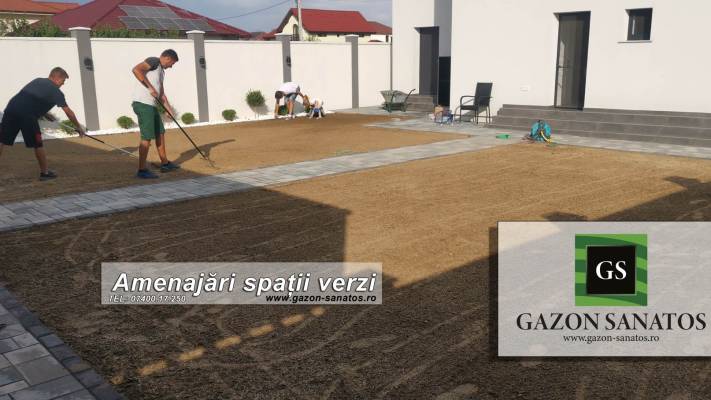 Gazon prin Însămânțare