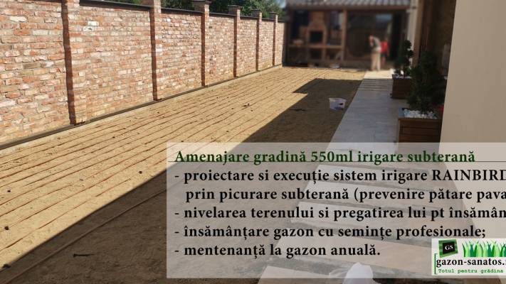 Gazon prin Însămânțare