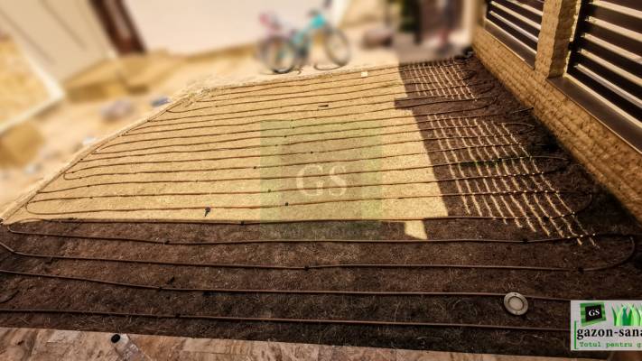 Gazon prin Însămânțare