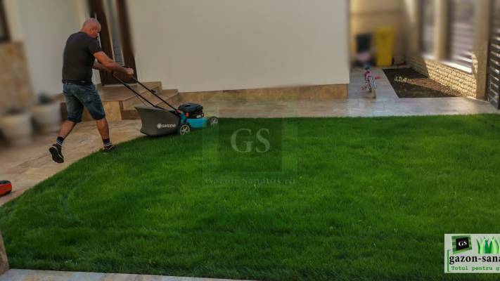 Gazon prin Însămânțare