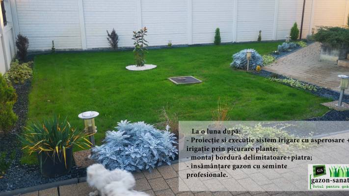 Gazon prin Însămânțare