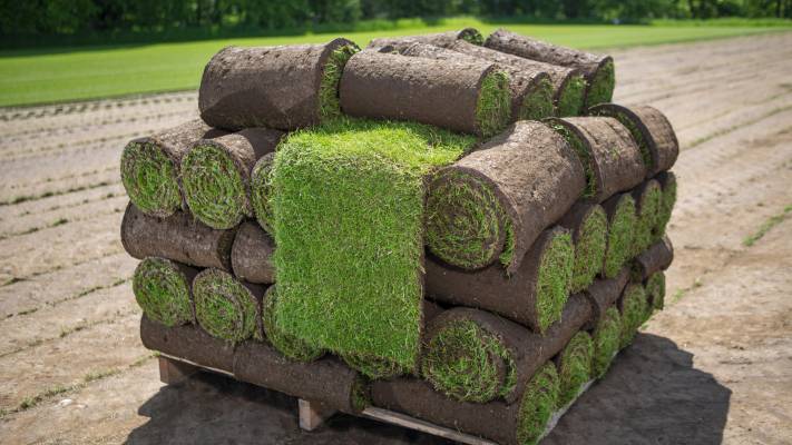 Montaj Rulou Gazon Arad