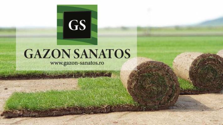 Montaj Rulou Gazon Arad