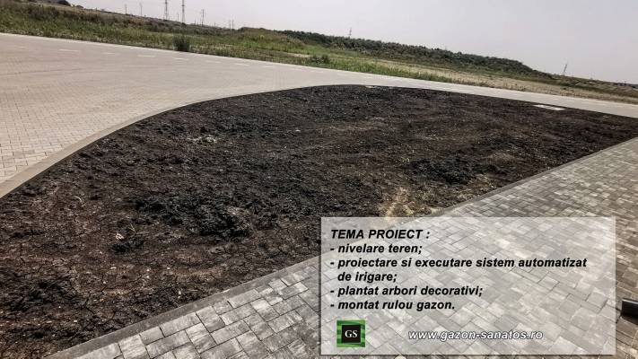 Montaj Rulou Gazon Arad