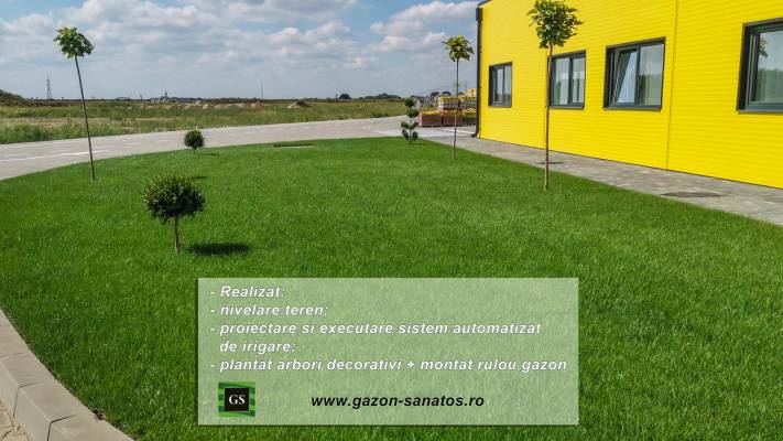 Montaj Rulou Gazon Arad