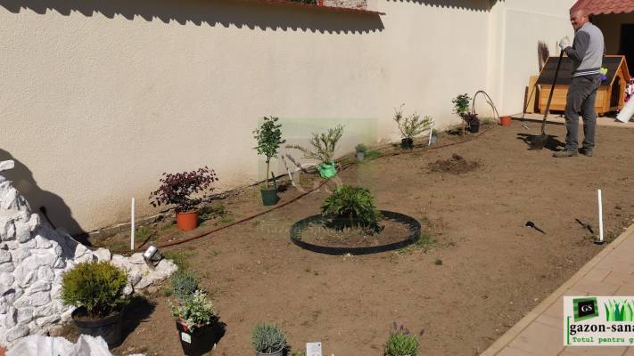 Montaj Rulou Gazon Arad