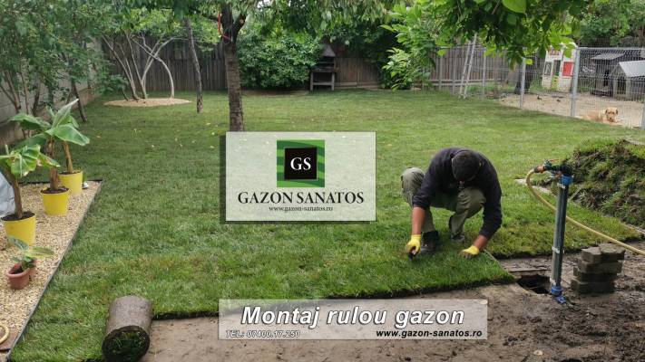 Montaj Rulou Gazon Arad