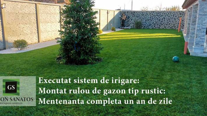 Montaj Rulou Gazon Arad