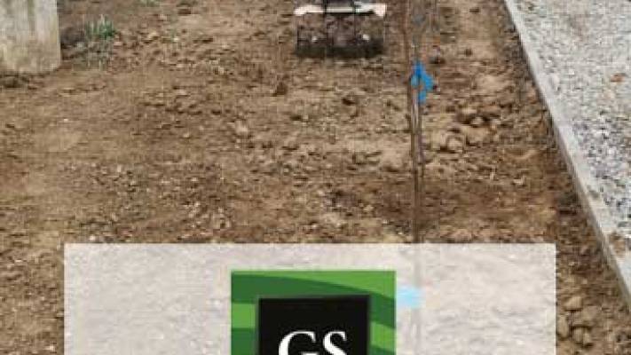 Montaj Rulou Gazon Arad