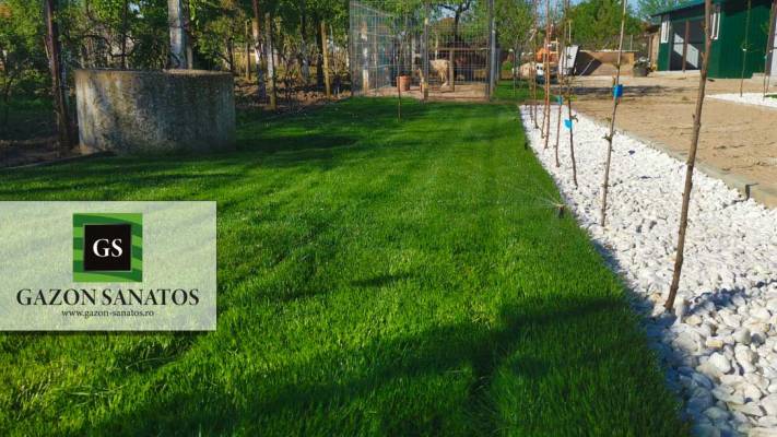Montaj Rulou Gazon Arad