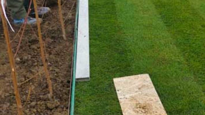 Montaj Rulou Gazon Arad