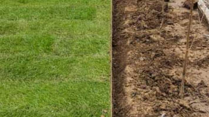 Montaj Rulou Gazon Arad