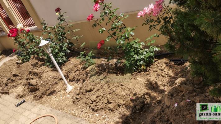 Montaj Rulou Gazon Arad