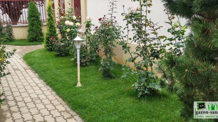 Montaj Rulou Gazon Arad
