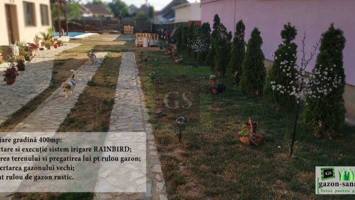 Montaj Rulou Gazon Arad