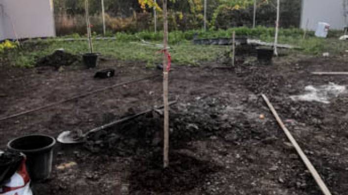 De la proiect la realizare