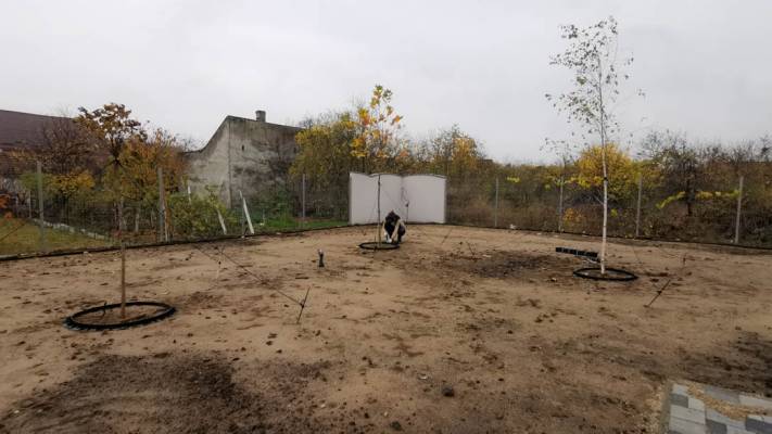 De la proiect la realizare