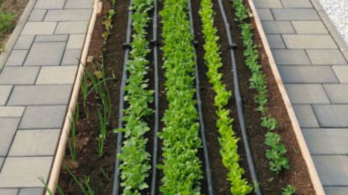 De la proiect la realizare