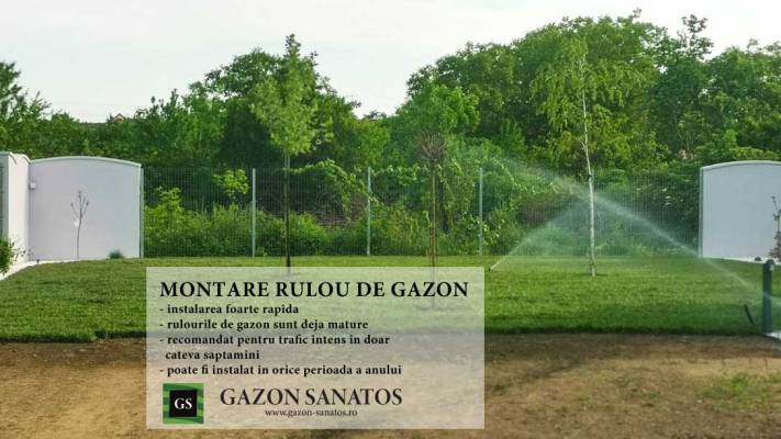 De la proiect la realizare