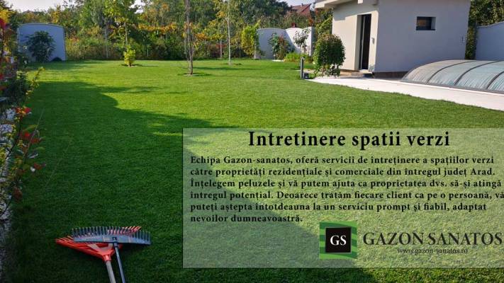 De la proiect la realizare