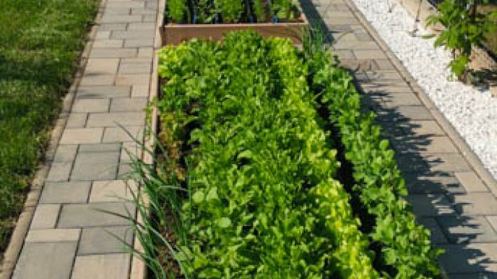 De la proiect la realizare