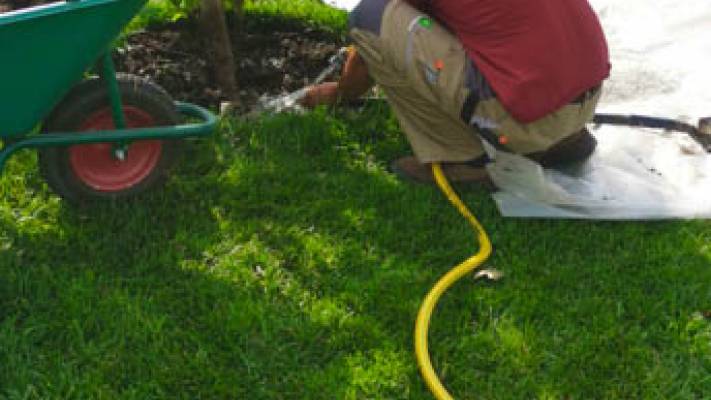 De la proiect la realizare