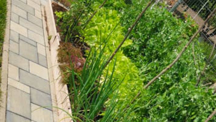 De la proiect la realizare