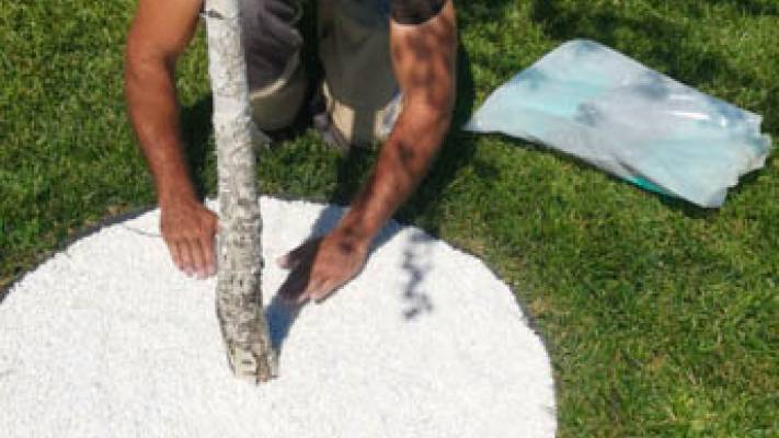 De la proiect la realizare