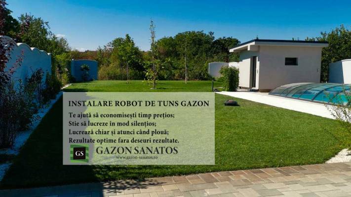 De la proiect la realizare