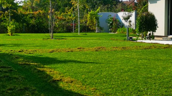 De la proiect la realizare