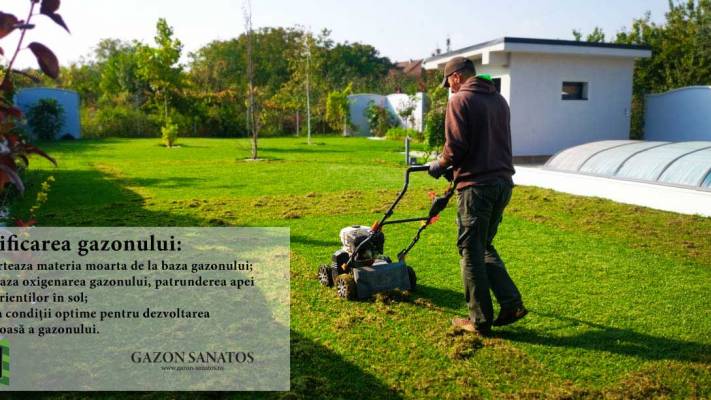 De la proiect la realizare