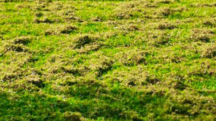 De la proiect la realizare