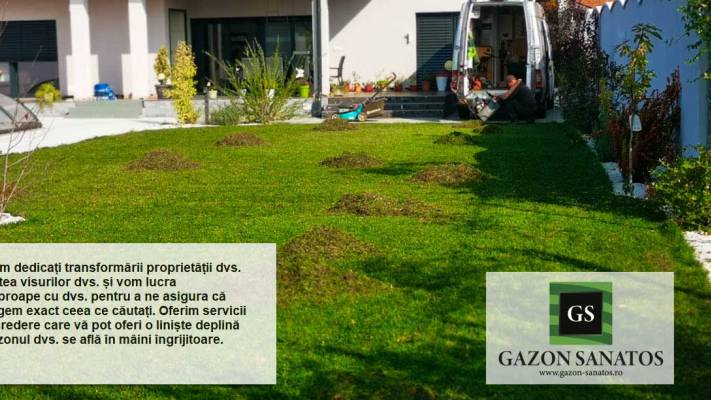 De la proiect la realizare