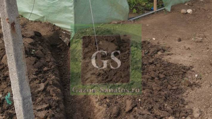 Sistem Picurare Legume