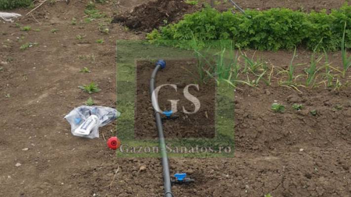 Sistem Picurare Legume