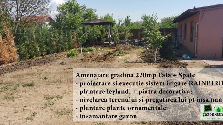 Amenajare curte Fata+Spate