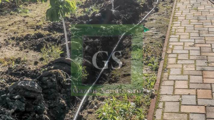 Amenajare curte Fata+Spate