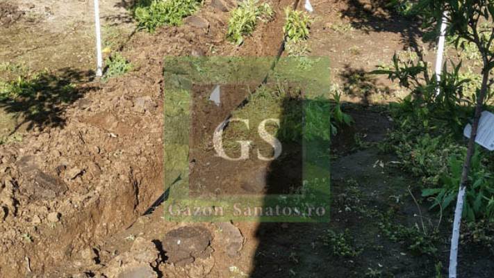 Amenajare curte Fata+Spate