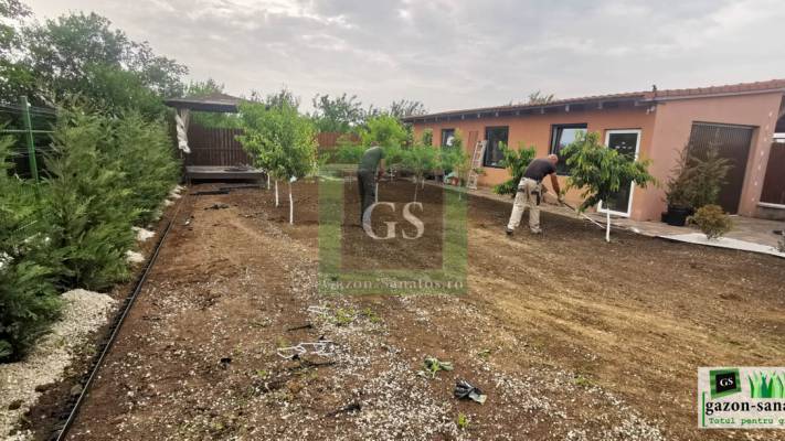 Amenajare curte Fata+Spate