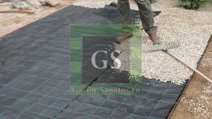 Amenajare curte Fata+Spate