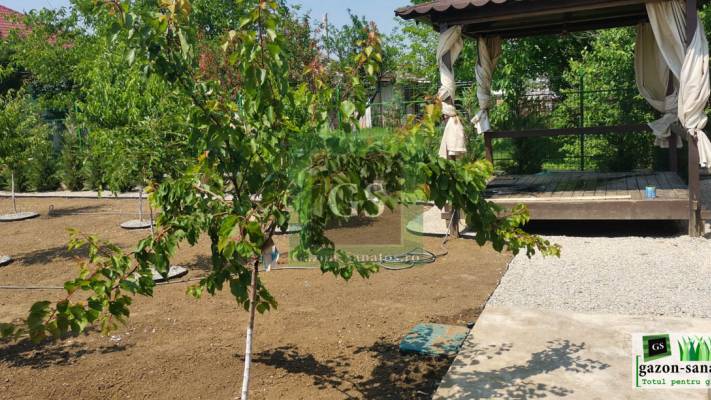 Amenajare curte Fata+Spate